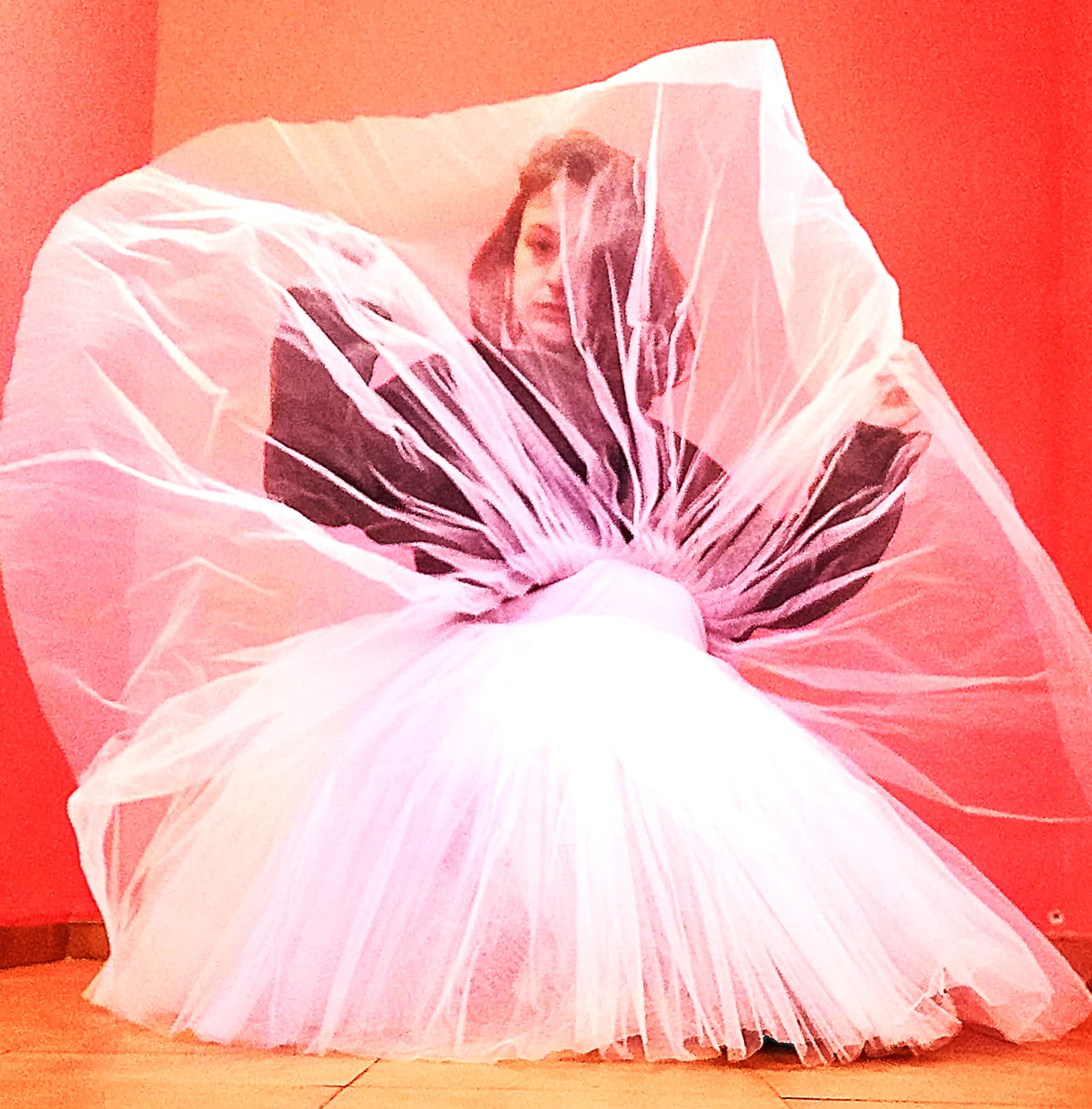 Cecilia Llorca - Llorsan Pintura