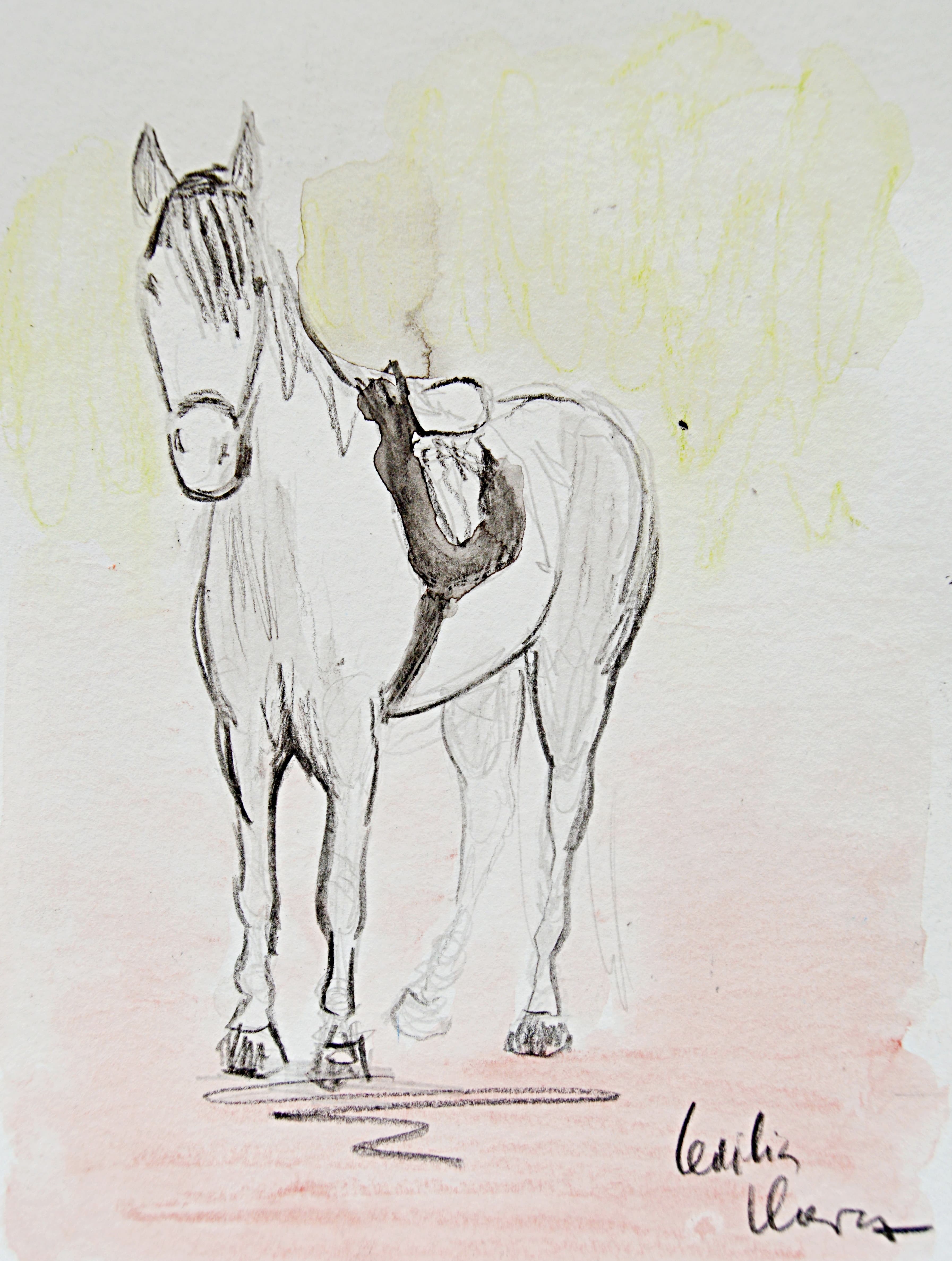 Retrato Portrait Boda